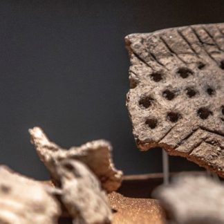Ruokakulttuuri kivikaudella ja varhaismetallikauden alussa Ti 12.3. 2024 klo 17.30  | Maksuton | Etäluento | Satakunnan Museo (526029)