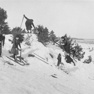 Pitkiä pellavia! Laskiaisperinteitä Satakunnasta Ti 13.2.2024 klo 17.30 | Maksuton | Etäluento | Satakunnan Museo