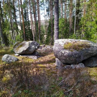 Euroopan kulttuuriympäristöpäivät 2025 | Retki Rauman Vasaraisiin ja Lappiin (526054)